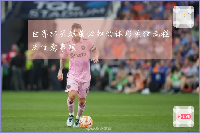 世界杯买球前必知的体彩竞猜流程及注意事项