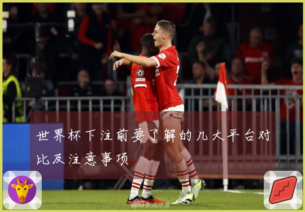 世界杯下注前要了解的几大平台对比及注意事项
