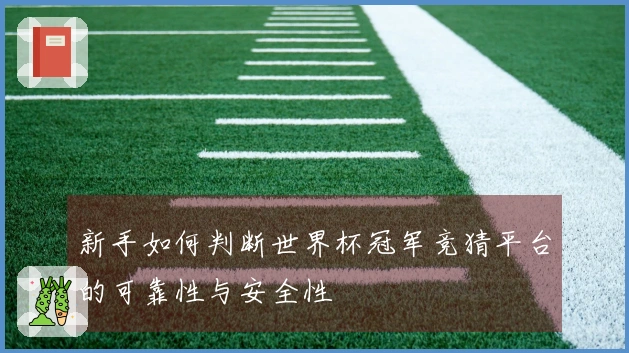 新手如何判断世界杯冠军竞猜平台的可靠性与安全性