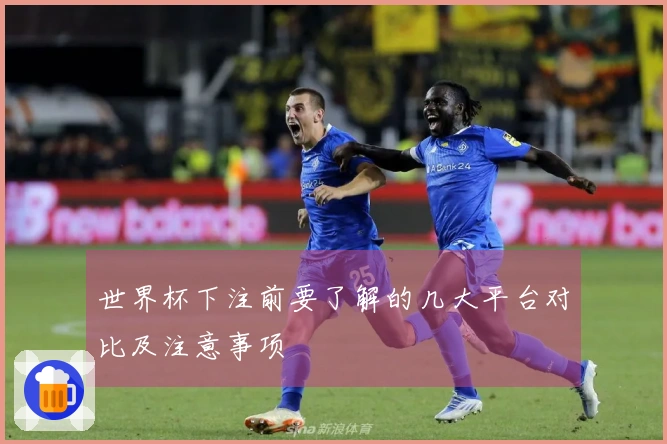 世界杯下注前要了解的几大平台对比及注意事项