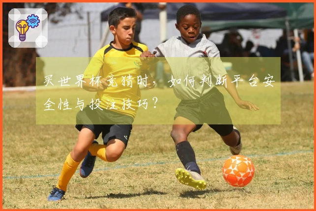 买世界杯竞猜时，如何判断平台安全性与投注技巧？